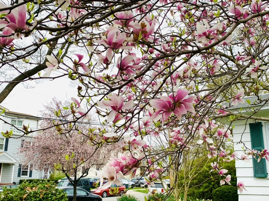 IMG_2072.jpg?type=w966