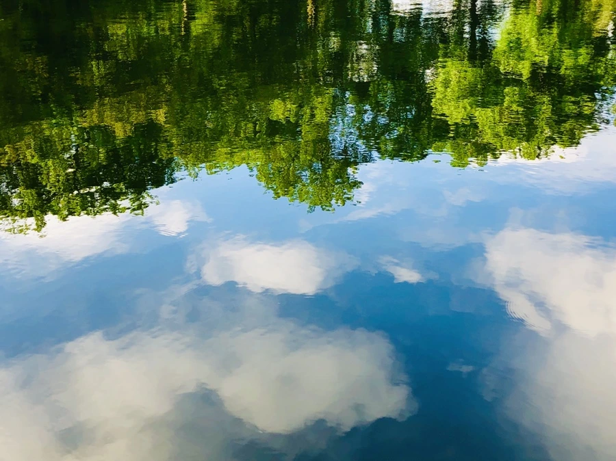 IMG_2935.jpg?type=w966