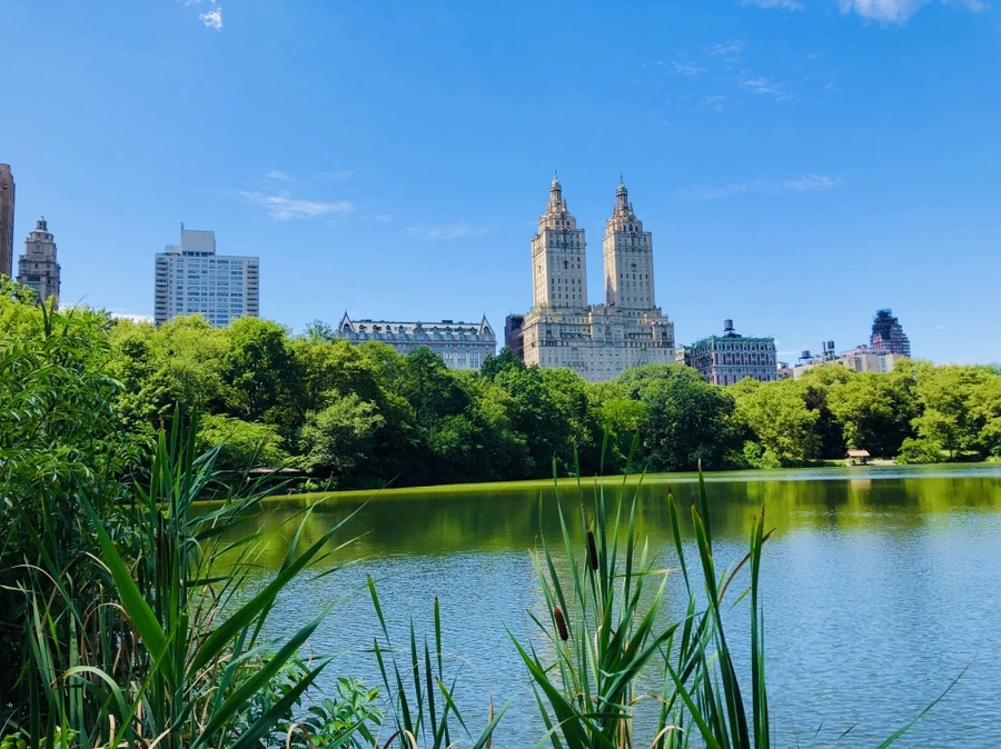 IMG_5738.jpg?type=w966