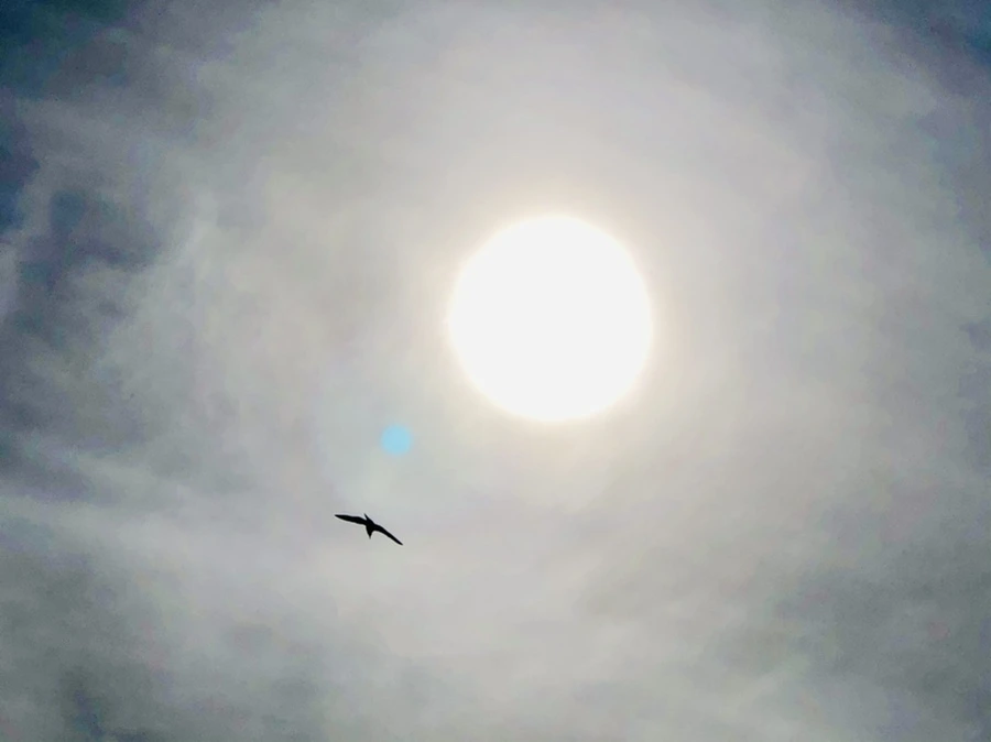 IMG_3114.jpg?type=w966