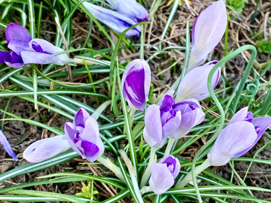 IMG_0760.jpg?type=w966