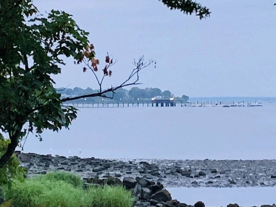 IMG_0708.jpg?type=w966