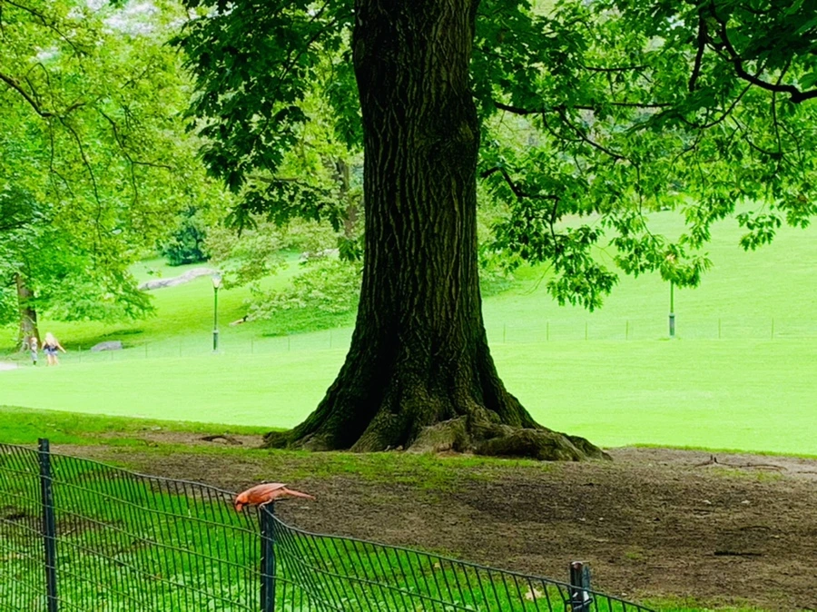 IMG_9930.jpg?type=w966