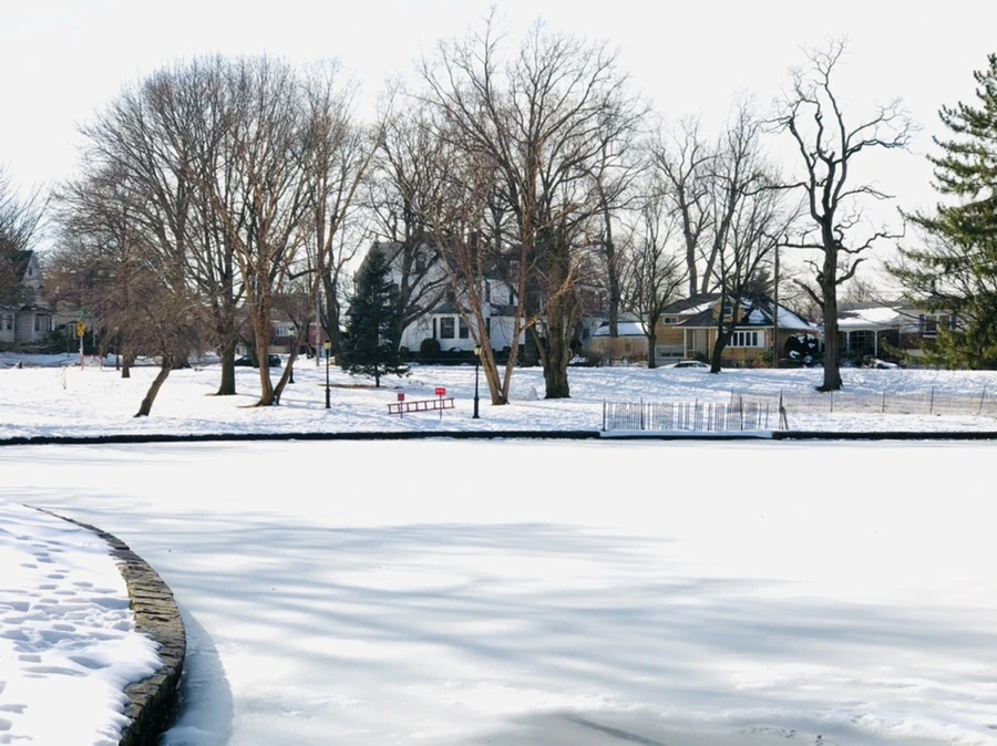 IMG_0105.jpg?type=w966