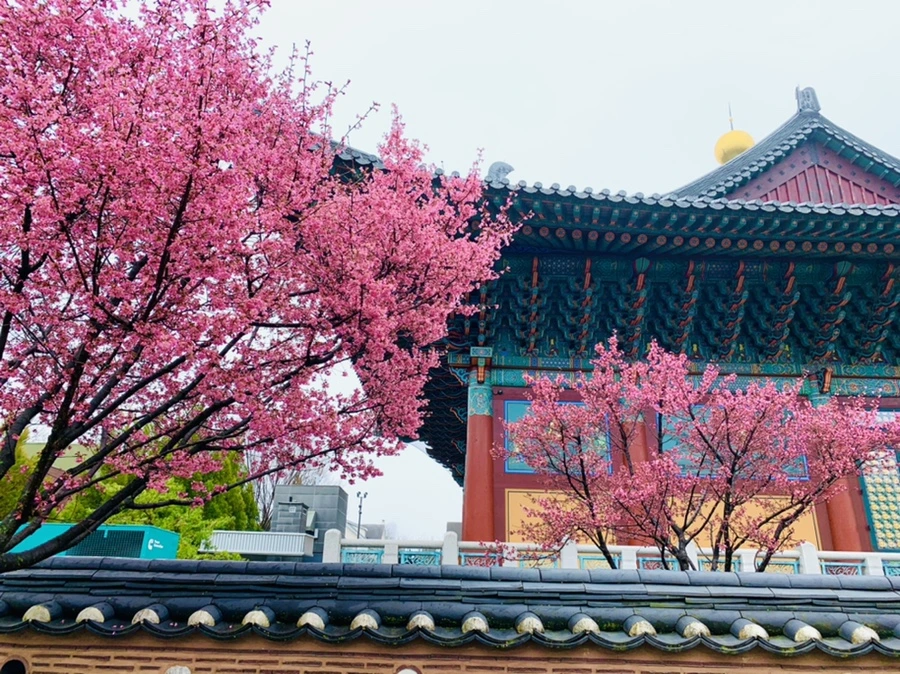 IMG_5313.jpg?type=w966