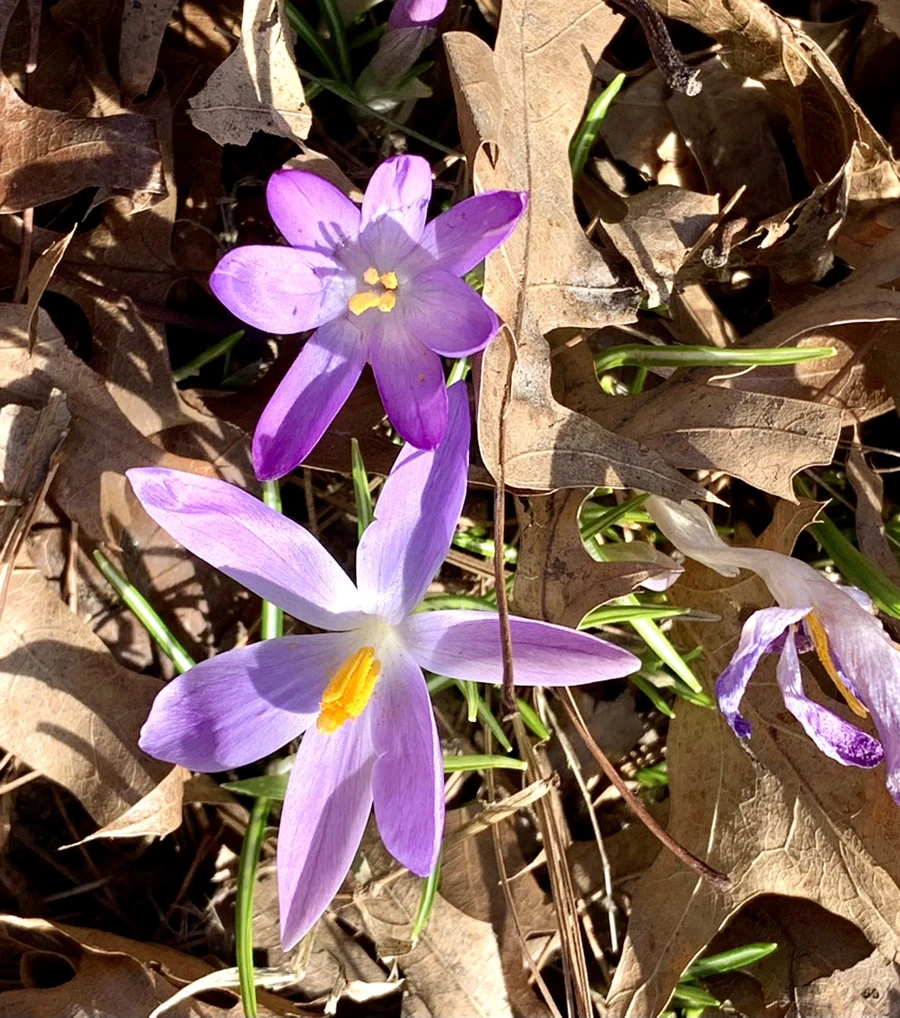 IMG_9617.jpg?type=w966