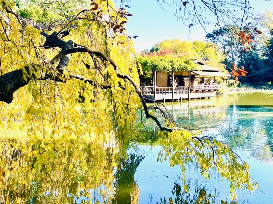 IMG_2105.jpg?type=w966