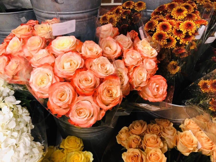 IMG_2231.jpg?type=w966