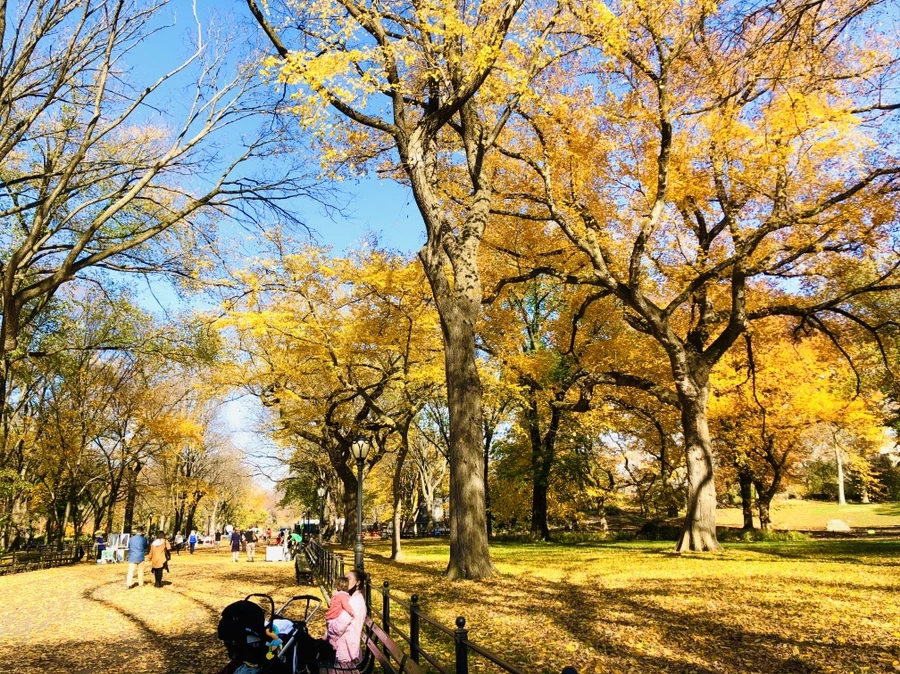 IMG_4253.jpg?type=w966