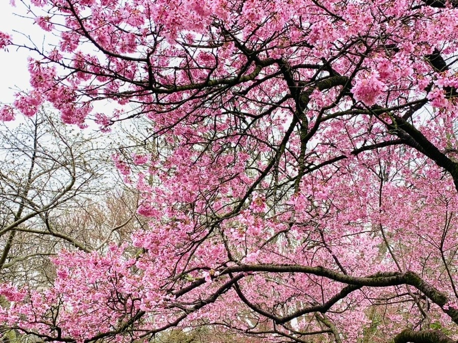 DFDknMIYg6JVcQJsRoRG_wry6OA