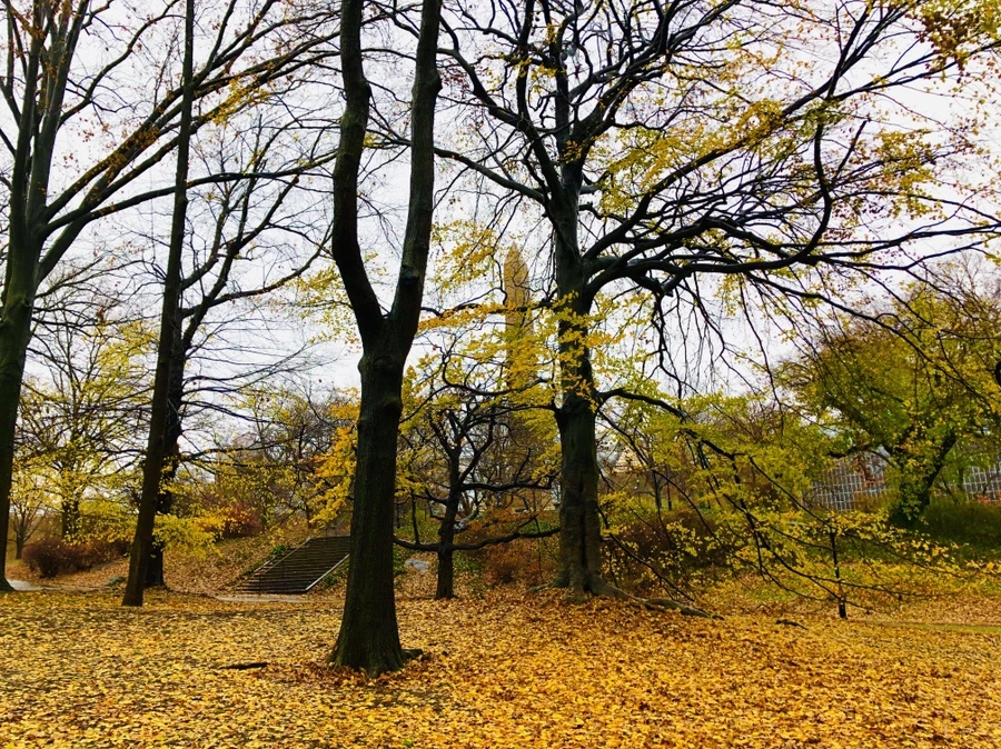 IMG_5720.jpg?type=w966