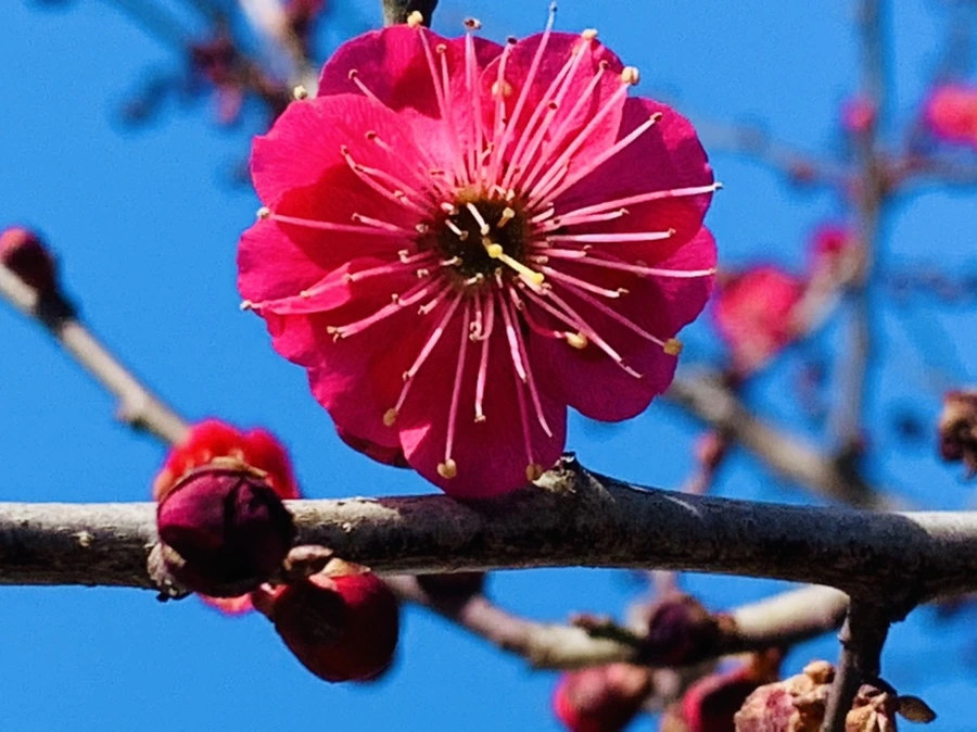 IMG_0668.jpg?type=w966