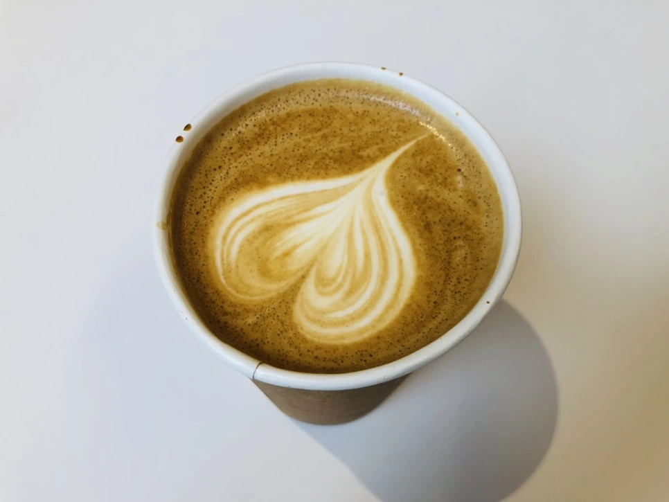 IMG_2994.jpg?type=w966