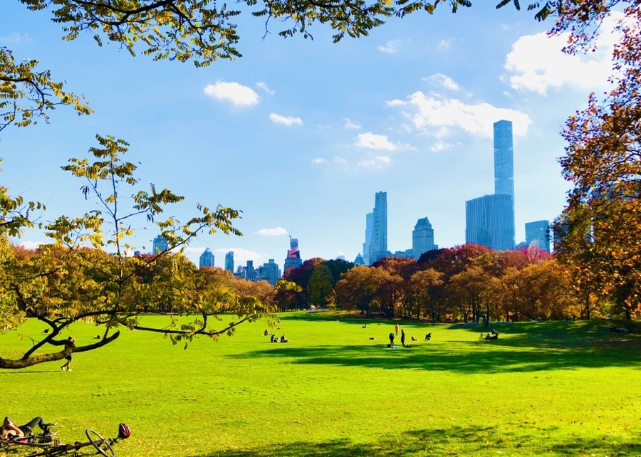 IMG_4359.jpg?type=w966