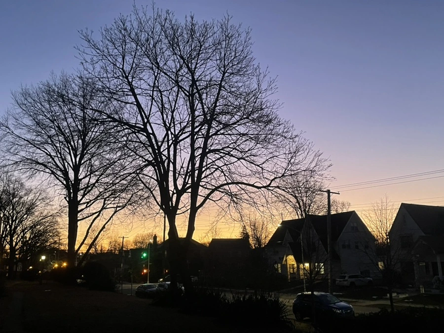 IMG_0036.jpg?type=w966