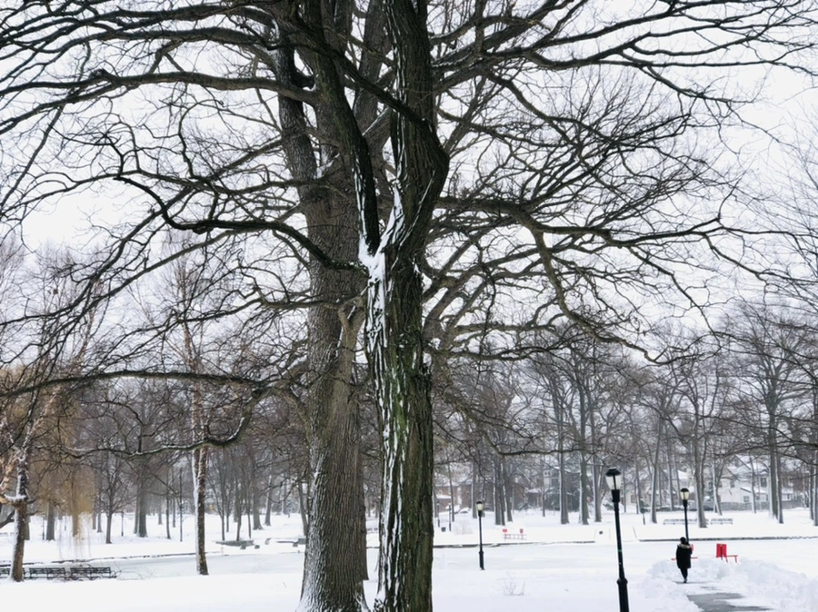 IMG_8953.jpg?type=w966