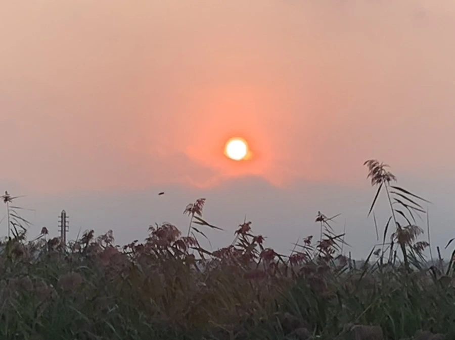 IMG_1142.jpg?type=w966