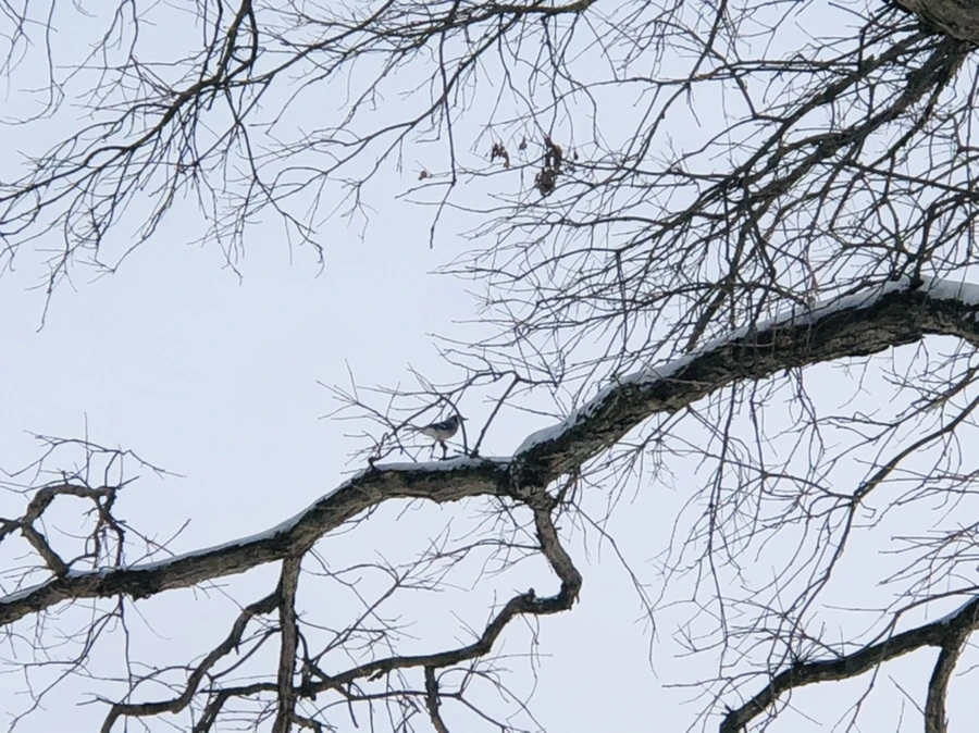 IMG_9462.jpg?type=w966