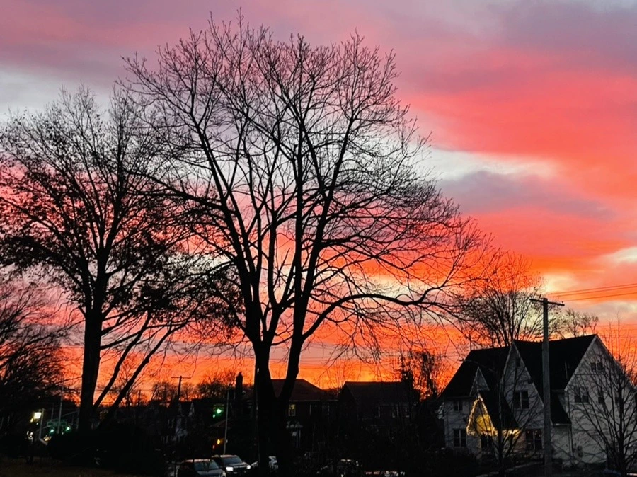 GY3gsCDtvtyfmjH0JE65LeoCn1I