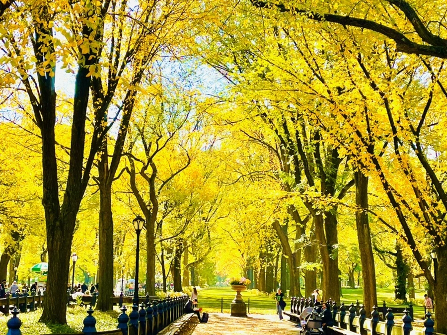 IMG_1602.jpg?type=w966