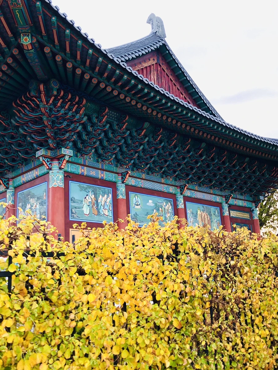 IMG_3410.jpg?type=w966