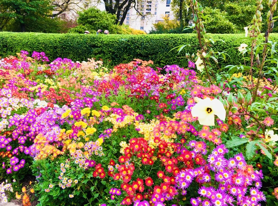 IMG_2502.jpg?type=w966