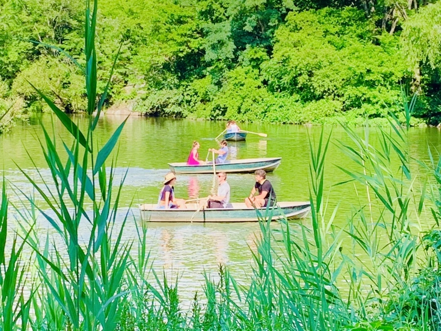 IMG_3484.jpg?type=w966