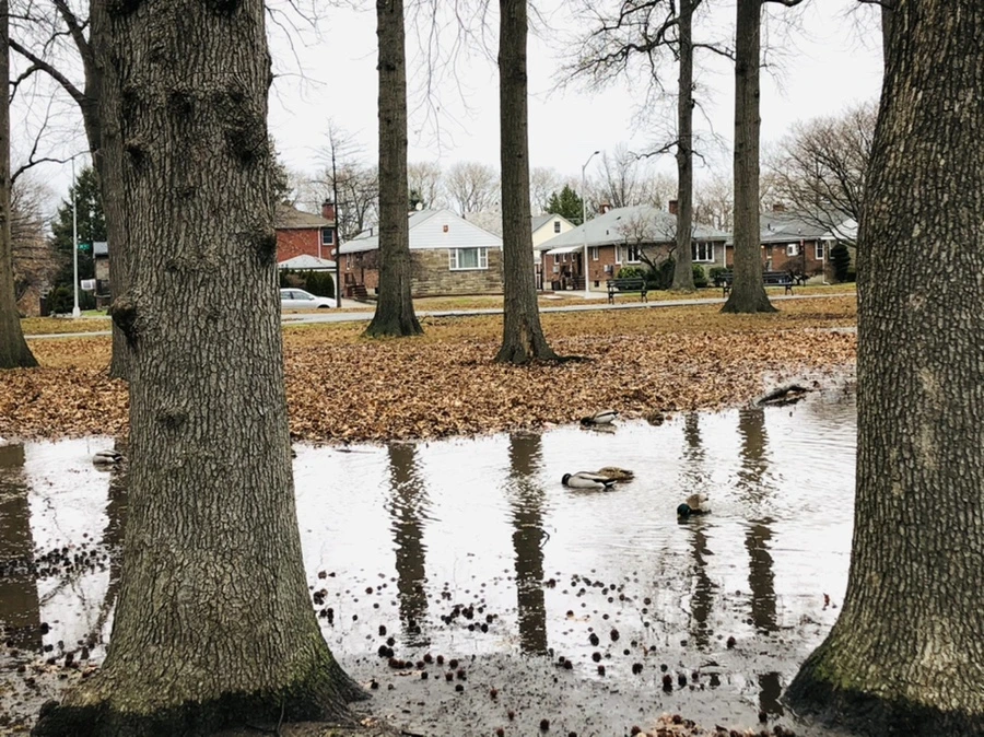 IMG_9526.jpg?type=w966