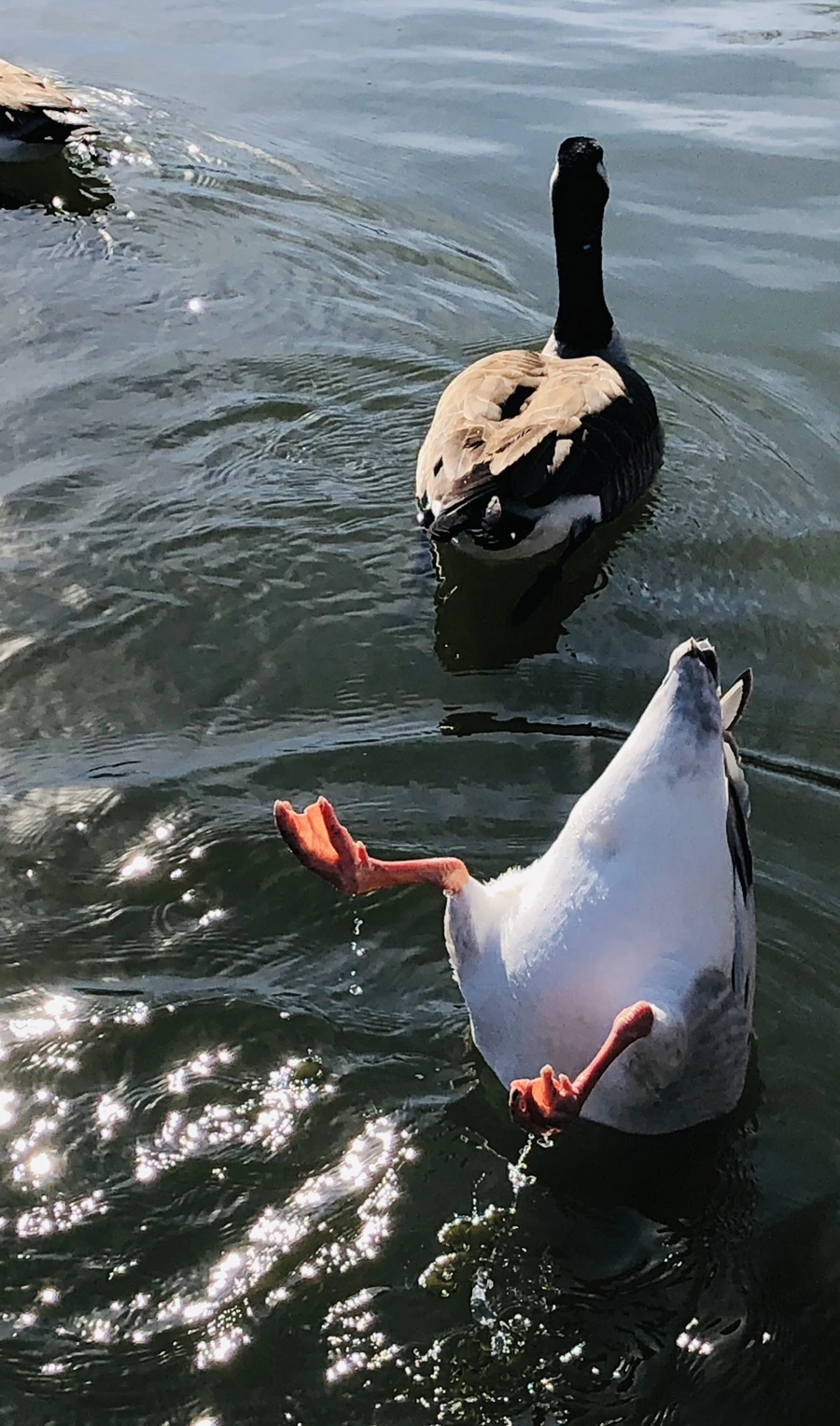 IMG_9511.jpg?type=w966