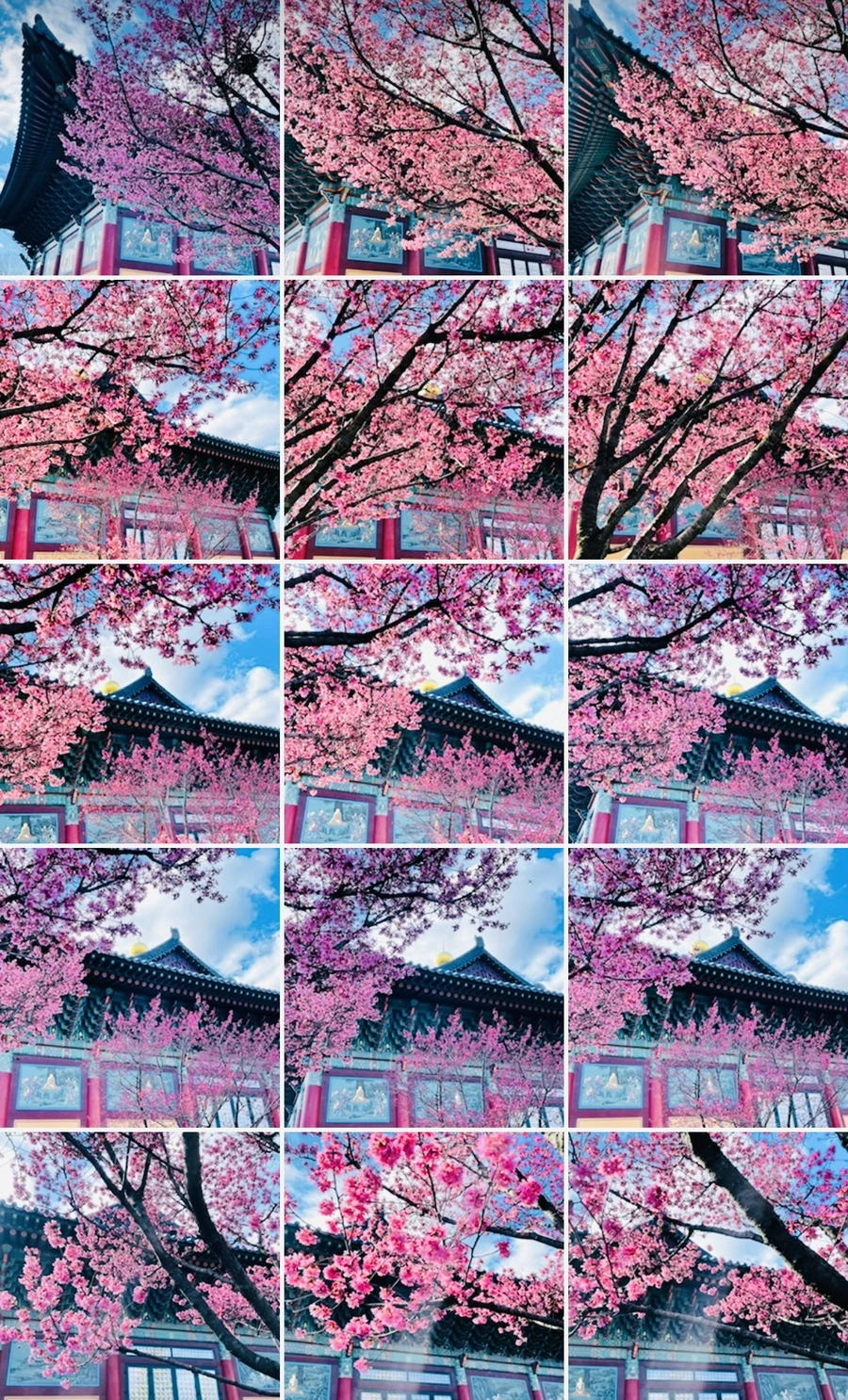 IMG_6212.jpg?type=w966