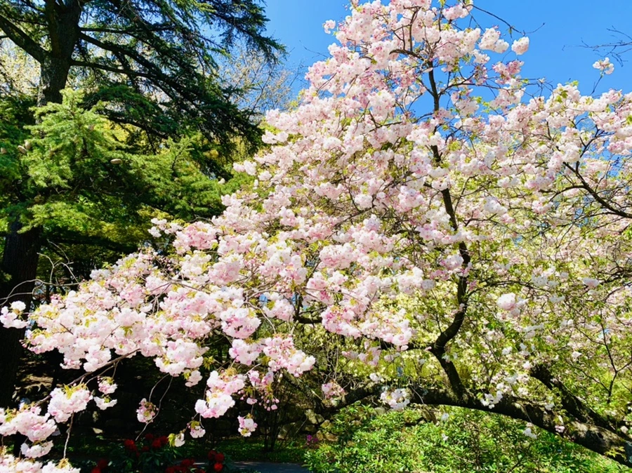 IMG_4818.jpg?type=w966