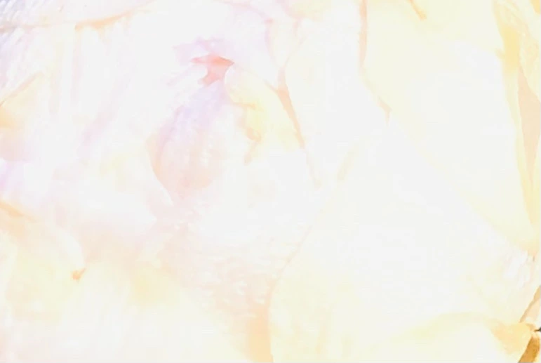 IMG_1392.jpg?type=w966