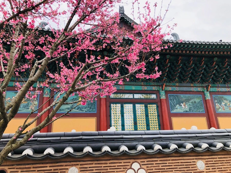 IMG_4117.jpg?type=w966