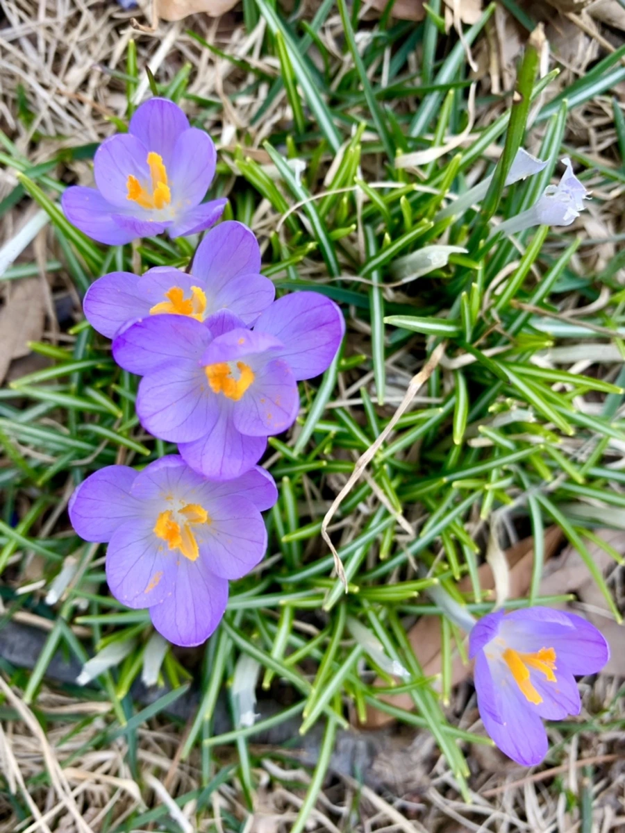 IMG_3159.jpg?type=w966