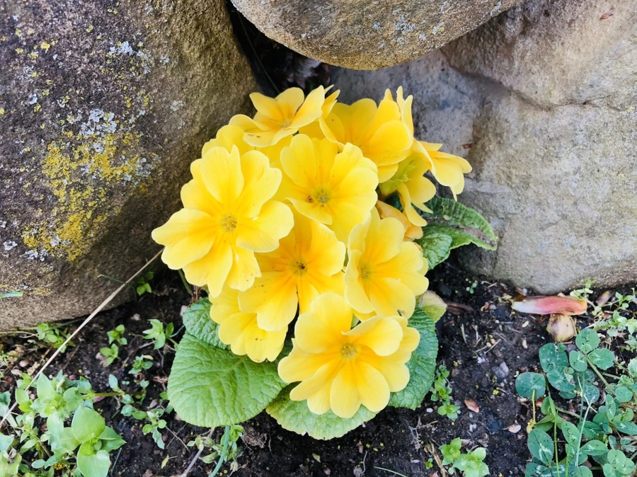 IMG_7213.jpg?type=w966