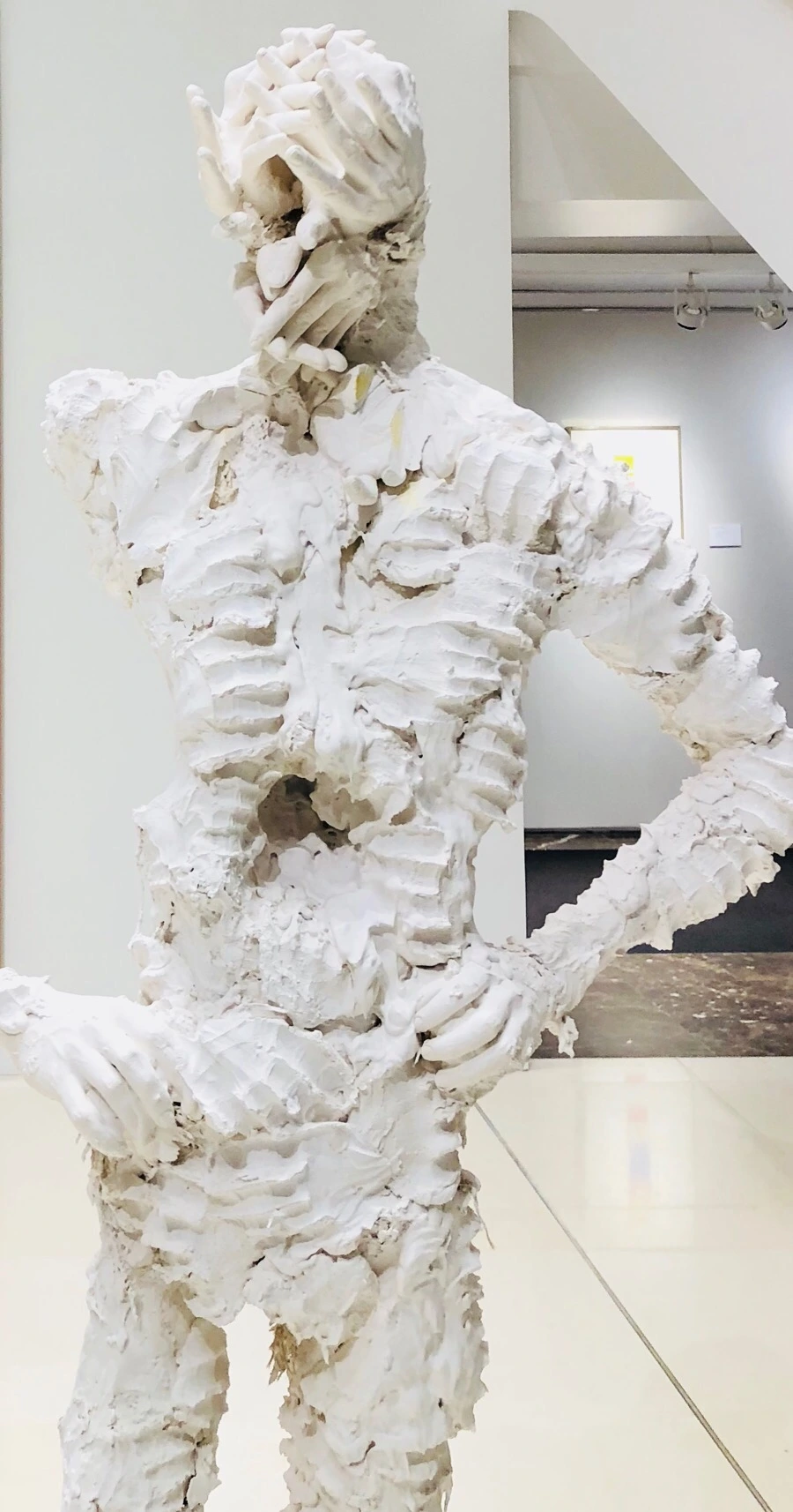 IMG_6081.jpg?type=w966