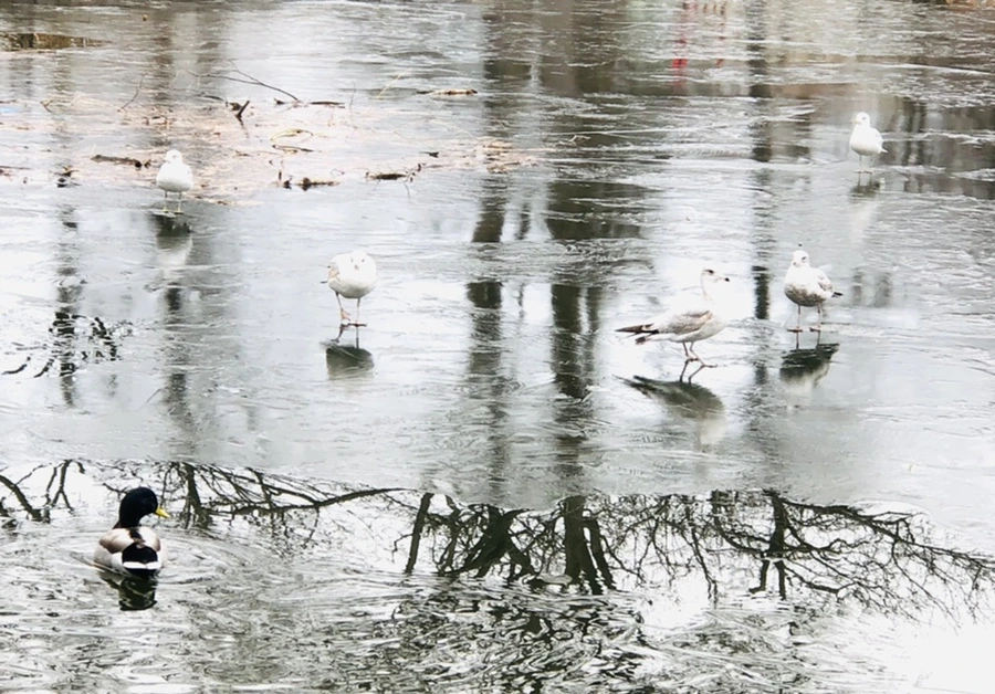 IMG_9021.jpg?type=w966