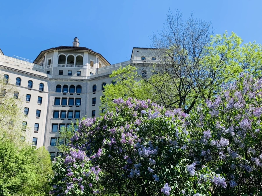 IMG_5742.jpg?type=w966