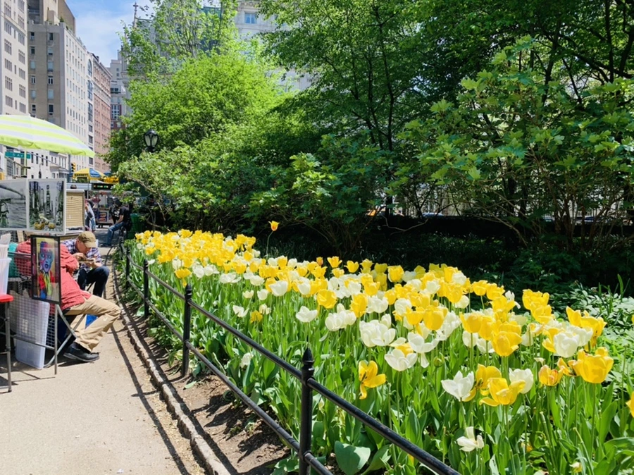 IMG_8825.jpg?type=w966