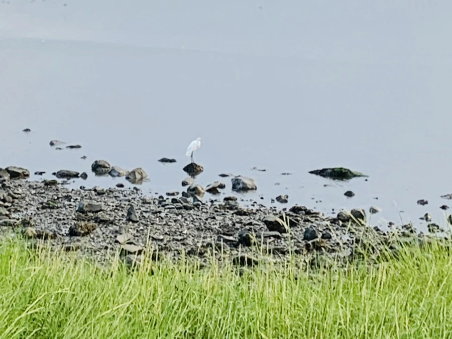 IMG_0657.jpg?type=w966