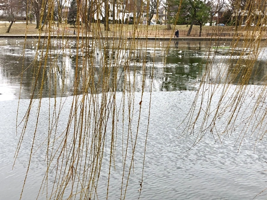 IMG_3204.jpg?type=w966