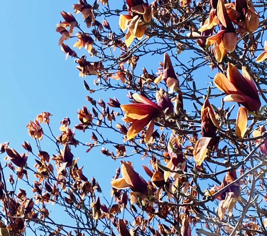 IMG_7705.jpg?type=w966