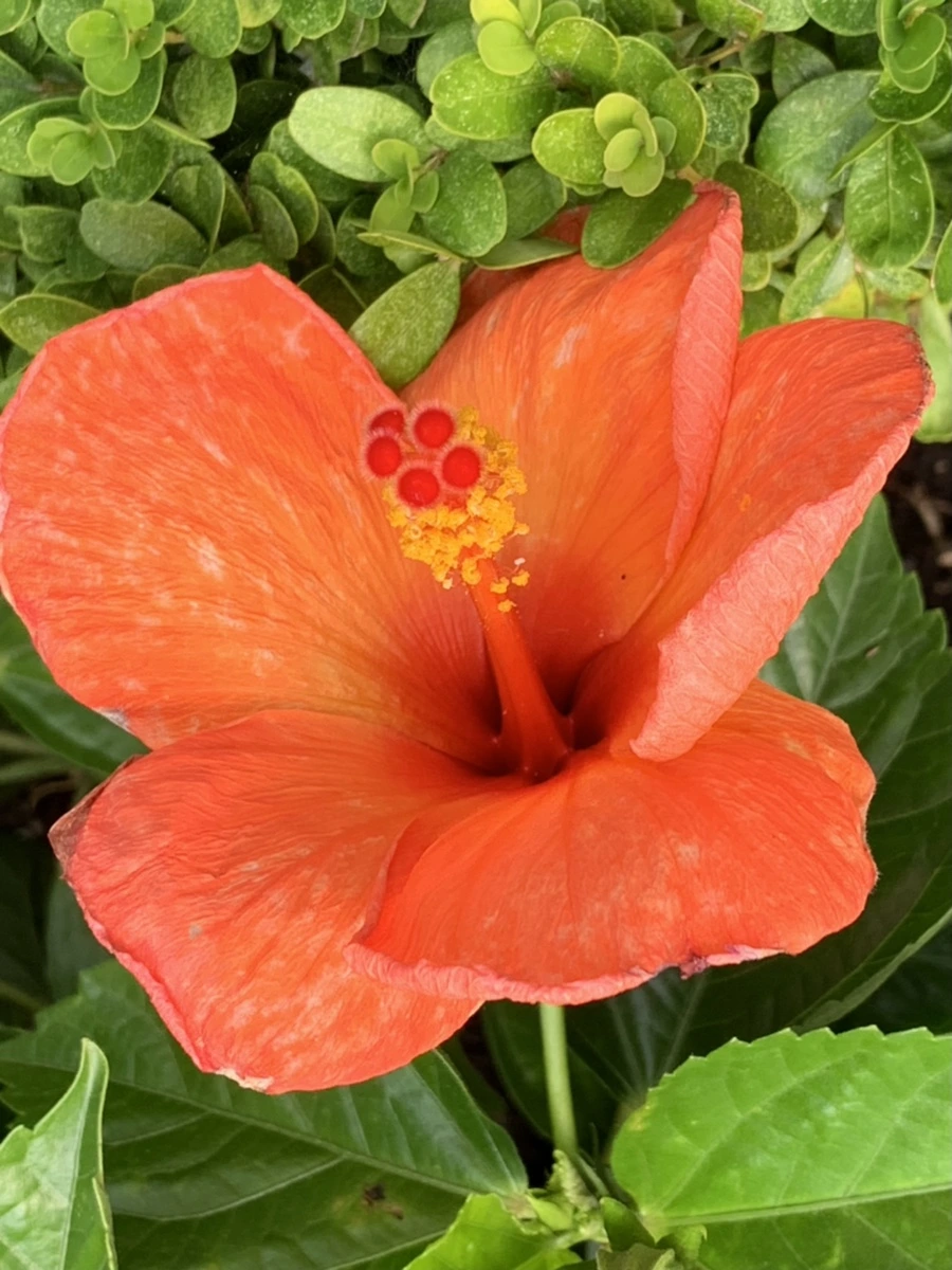 IMG_5684.jpg?type=w966