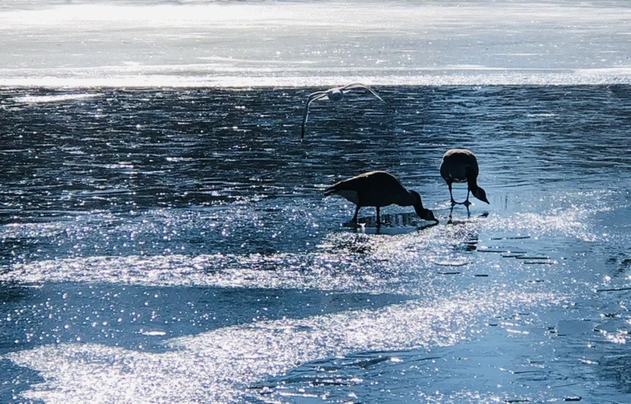 gjEABJS0f9QRvlCsYdHOY2ck6As