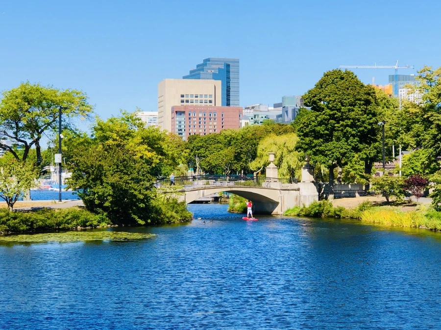 IMG_0485.jpg?type=w966