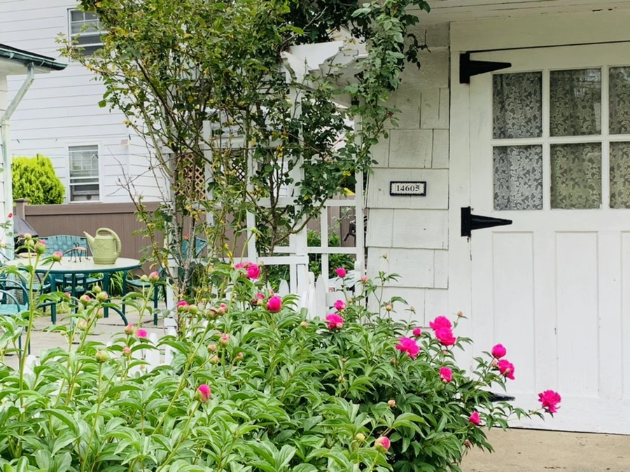 IMG_5433.jpg?type=w966