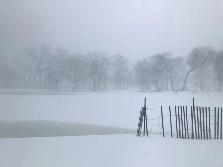 IMG_8820.jpg?type=w966