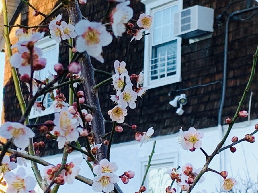 IMG_0859.jpg?type=w966