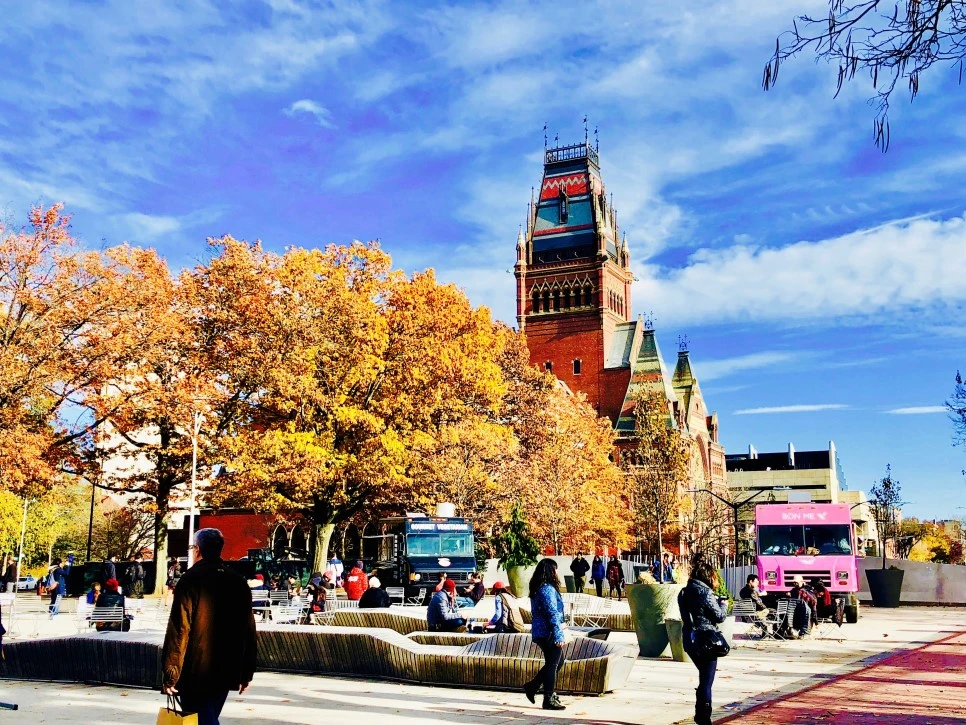 IMG_E1550.jpg?type=w966