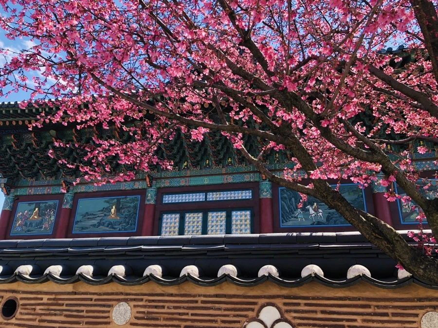 IMG_2167.jpg?type=w966